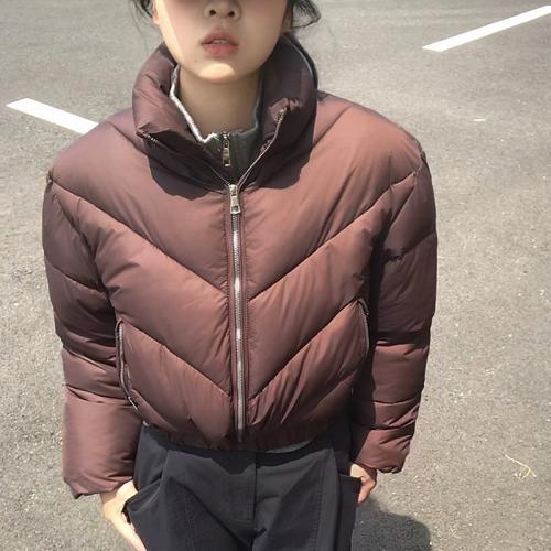 Polyester windproof Women Parkas & thermal Solid PC