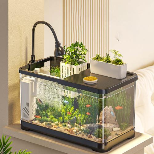 Plastic Aquarium  Solid PC